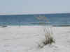 Beach33.jpg (58661 bytes)