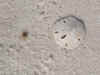 Beach48.jpg (87600 bytes)